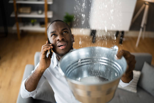 Best Water damage cleanup near me  in Crockett, CA