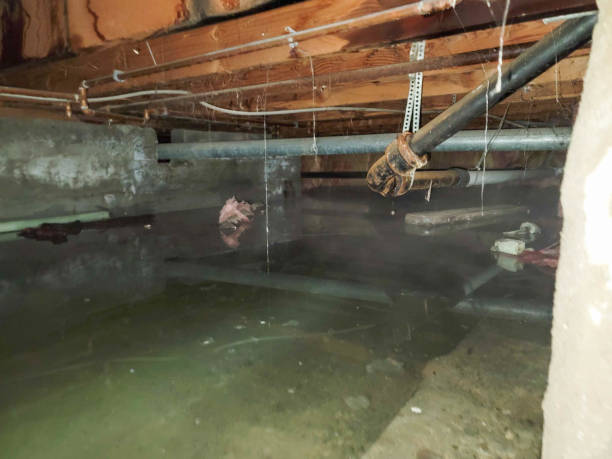Best Ceiling water damage repair  in Crockett, CA