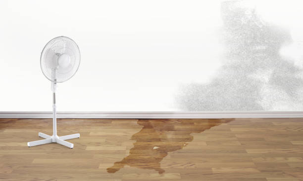 Best Commercial water damage restoration  in Crockett, CA