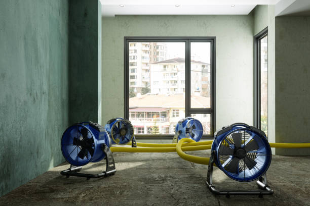 Best Water damage restoration near me  in Crockett, CA
